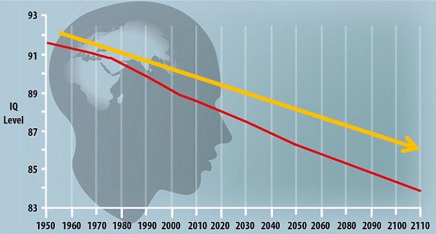 Americans suffer historic decline in IQ , study finds