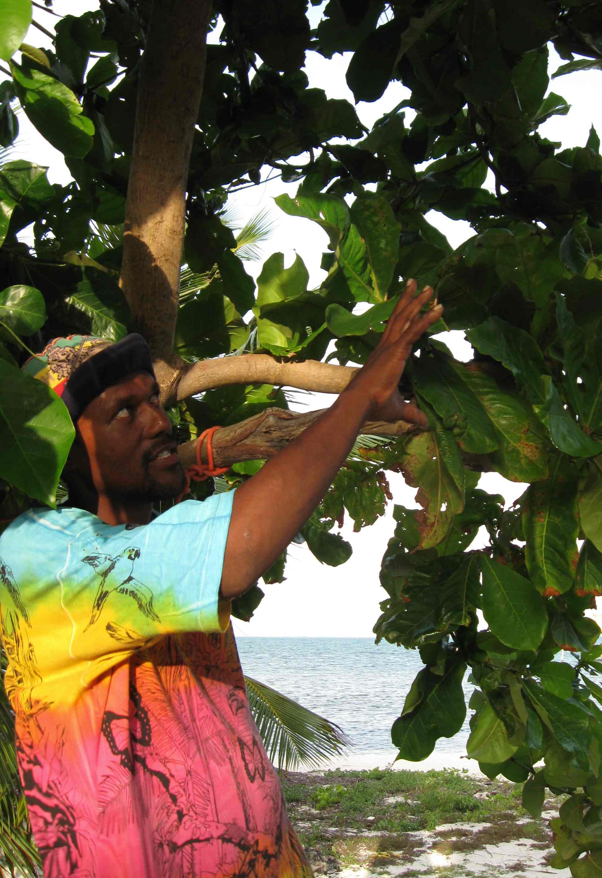 Cecil the Baird of Belize, island poet