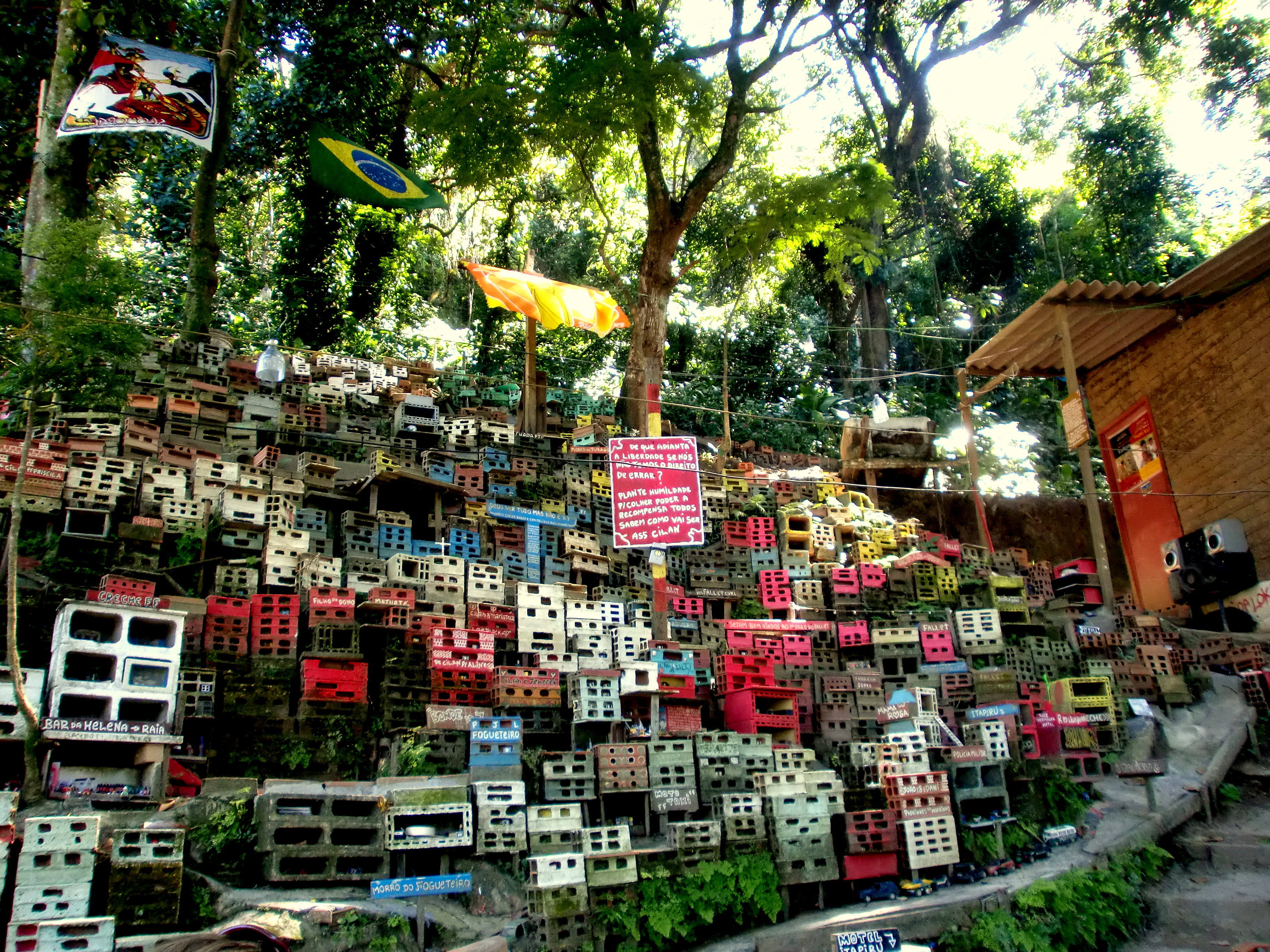 Morrinho, photo by Lindsay Spratt.