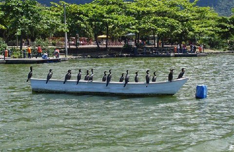 lagoa-wildlife-photo-by-lagoa-limpa-project-ebx-group
