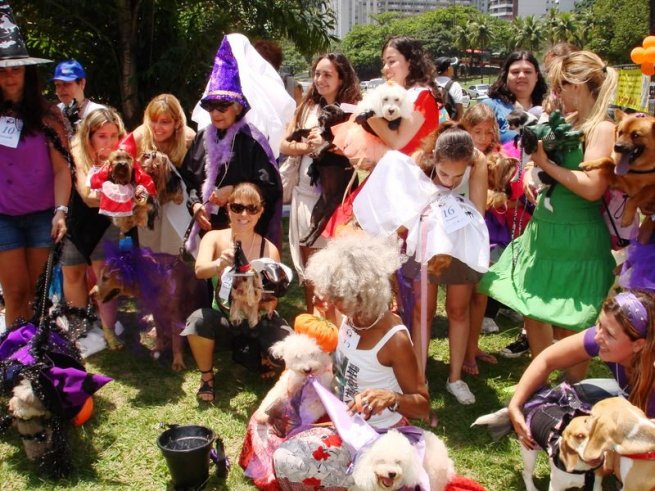 in-rio-halloween-is-celebrated-by-dogs-as-well-as-people-photo-by-housepress