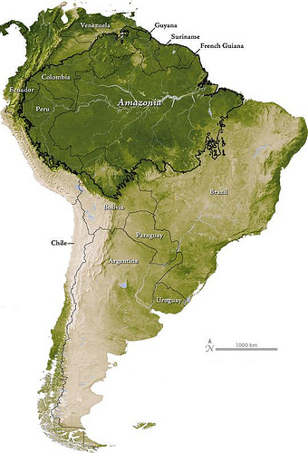 Amazonia on the Rise