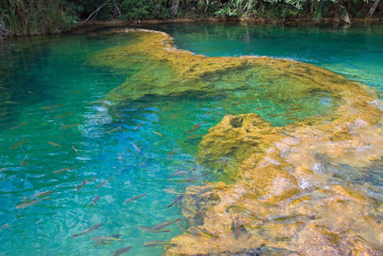 Rio Formoso