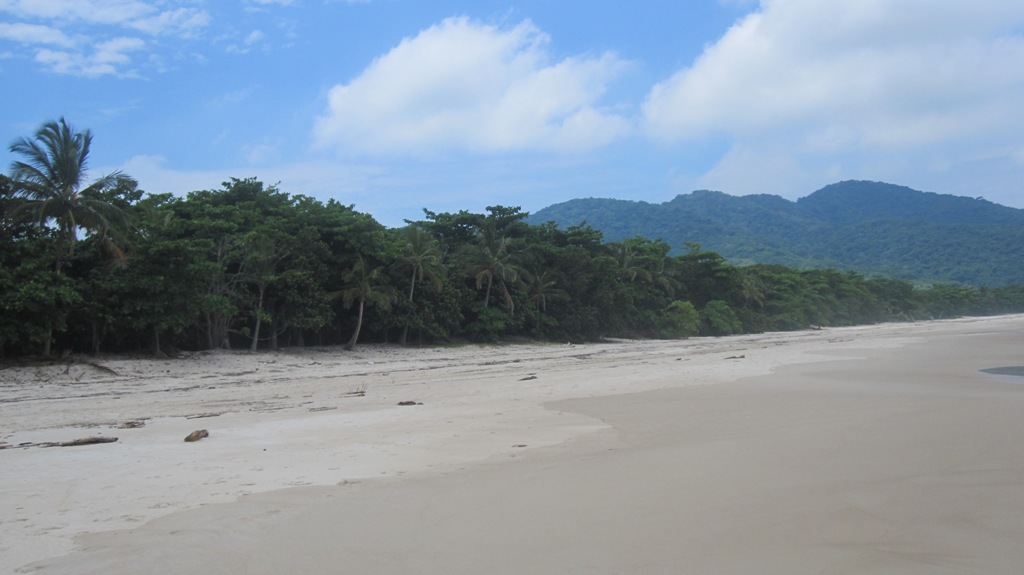 Ilha Grande hopes to protect the sanctity of its shores and preserve its wildlife. Rio de Janeiro, Brazil, News