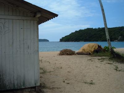 Ilha Grande 3, by Mike Smith
