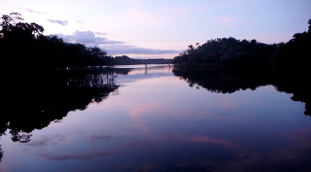 Novo Airao, Amazonas, Brazil, News