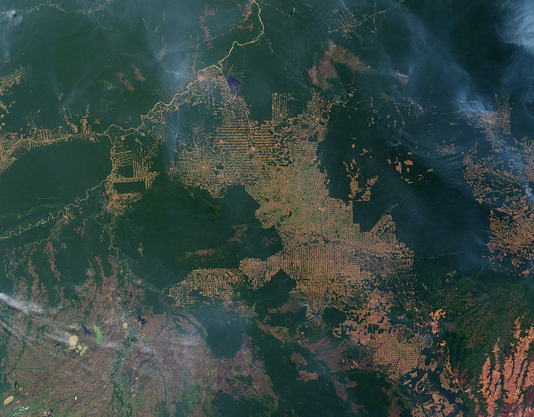 Fires, Deforestation in the Amazon Frontier, Rondônia, Brazil - photo from Nasa (August 2007)