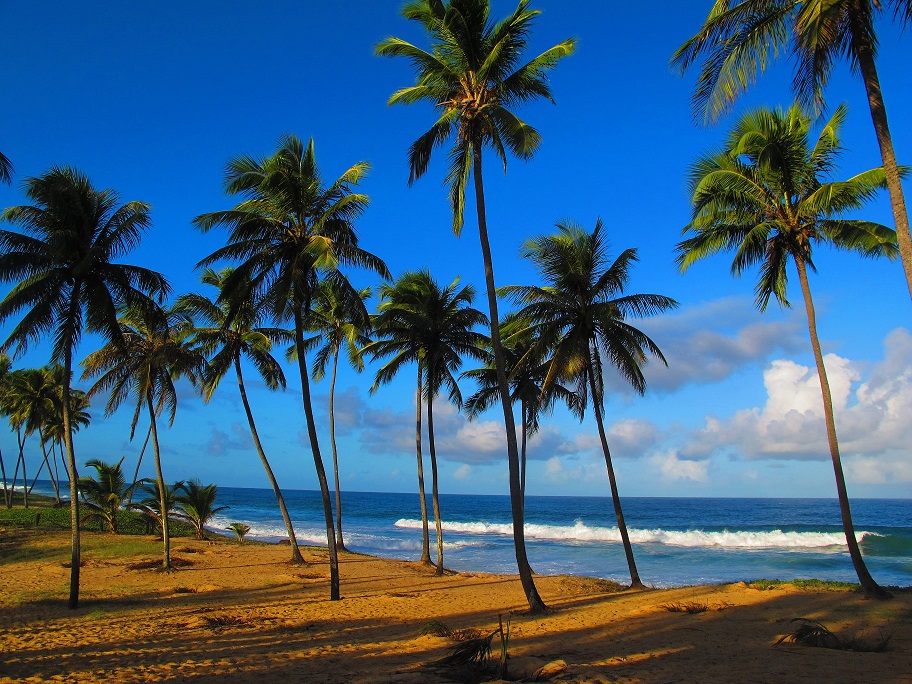 The coast, Bahia, Brazil, News