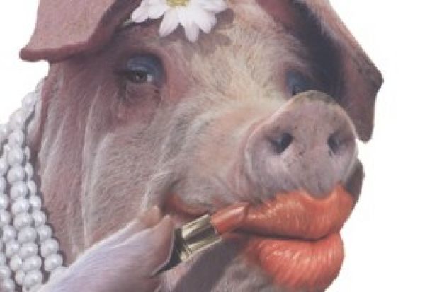 Brazil needs to show that the Rio UPP program is not just putting lipstick on a pig, and is working for true long lasting change.