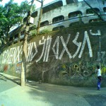 joana_cesar10