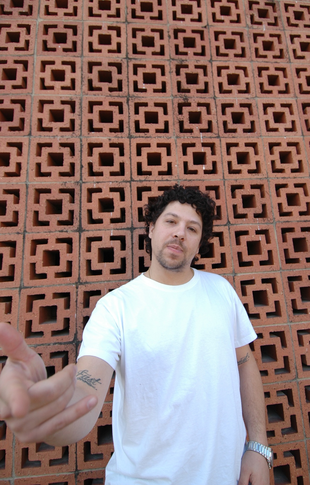 Cosmo_bricks_by_DJ_Mel