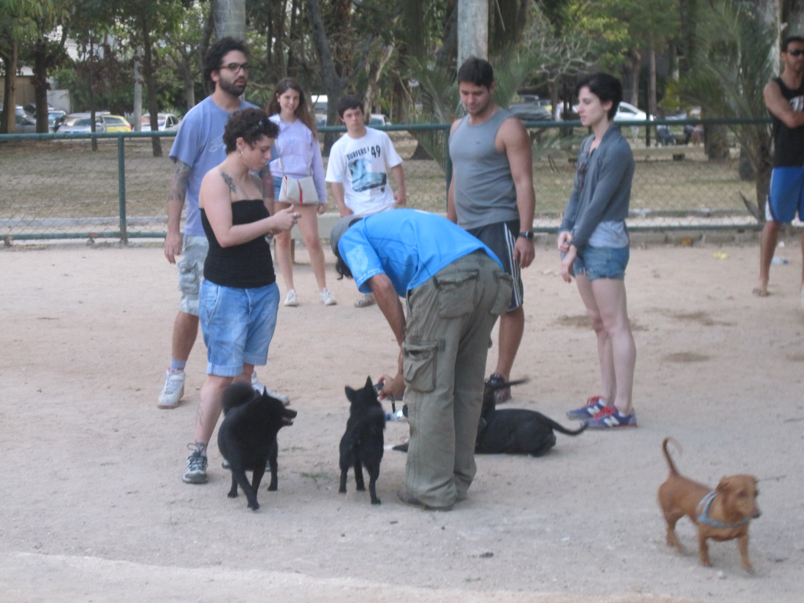 The Parcão da Lagoa dog Park, also on the Lagoa is the ideal place for dogs and owners to socialise, Rio de Janeiro, Brazil, News.