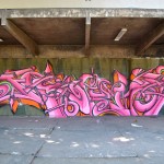 DSC_1016