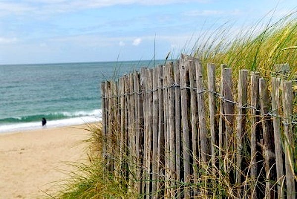 beachfence
