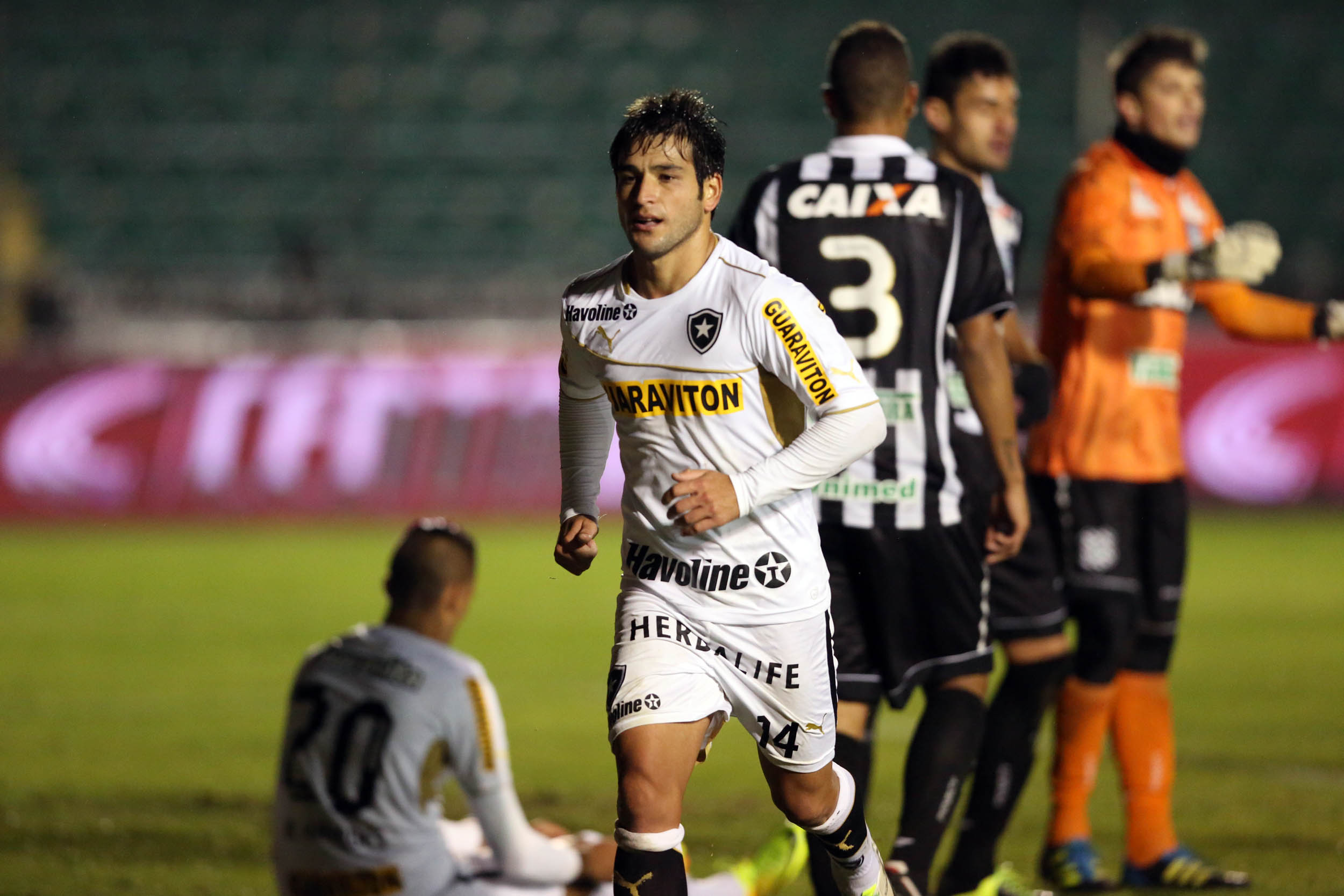 Botafogo Ahead in Brasileirão: Daily