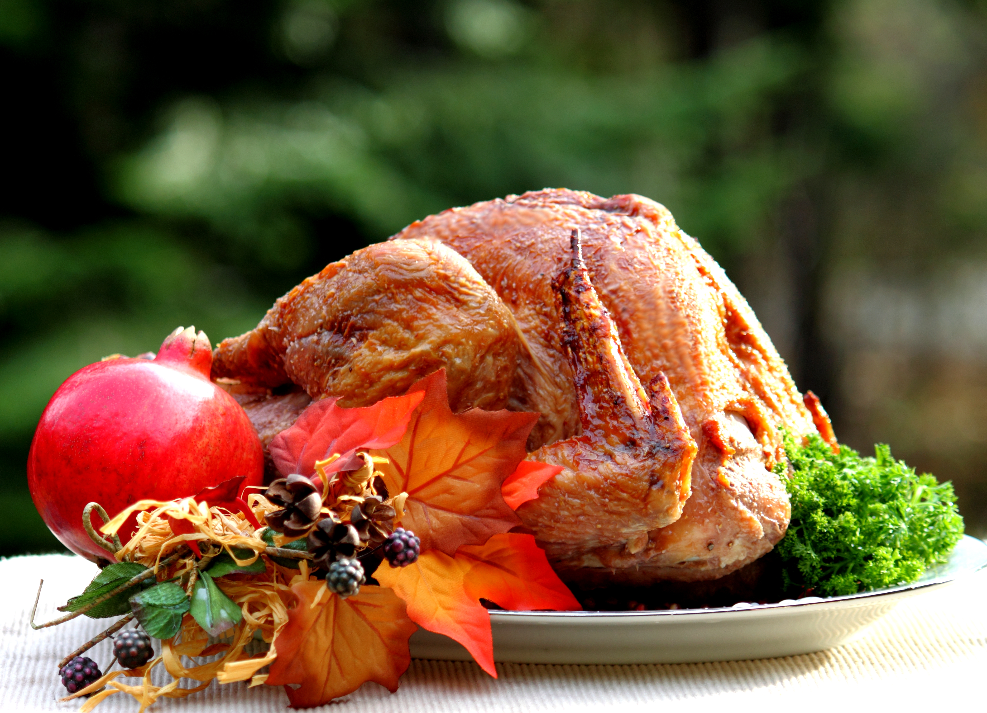 5turkey