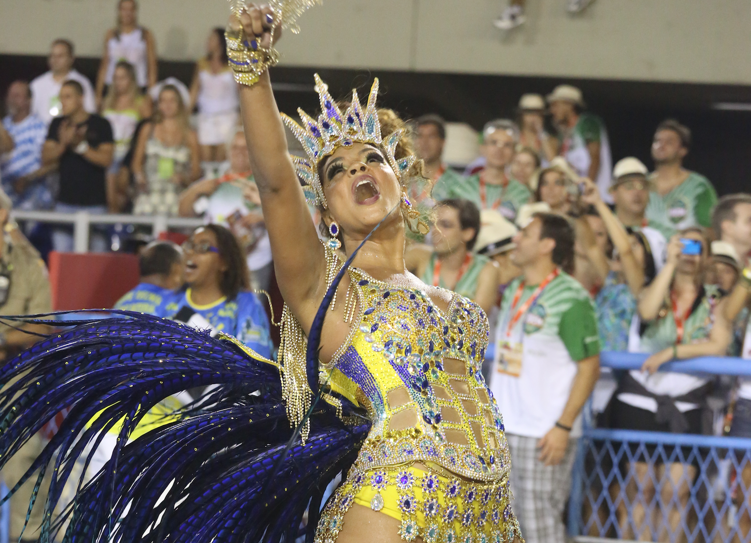 Unidos da Tijuca Win 2014 Rio Carnival Competition: Daily