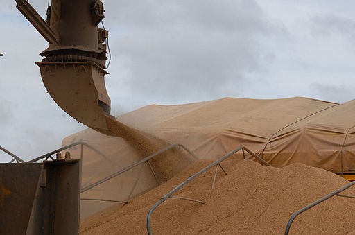 Soybean exports