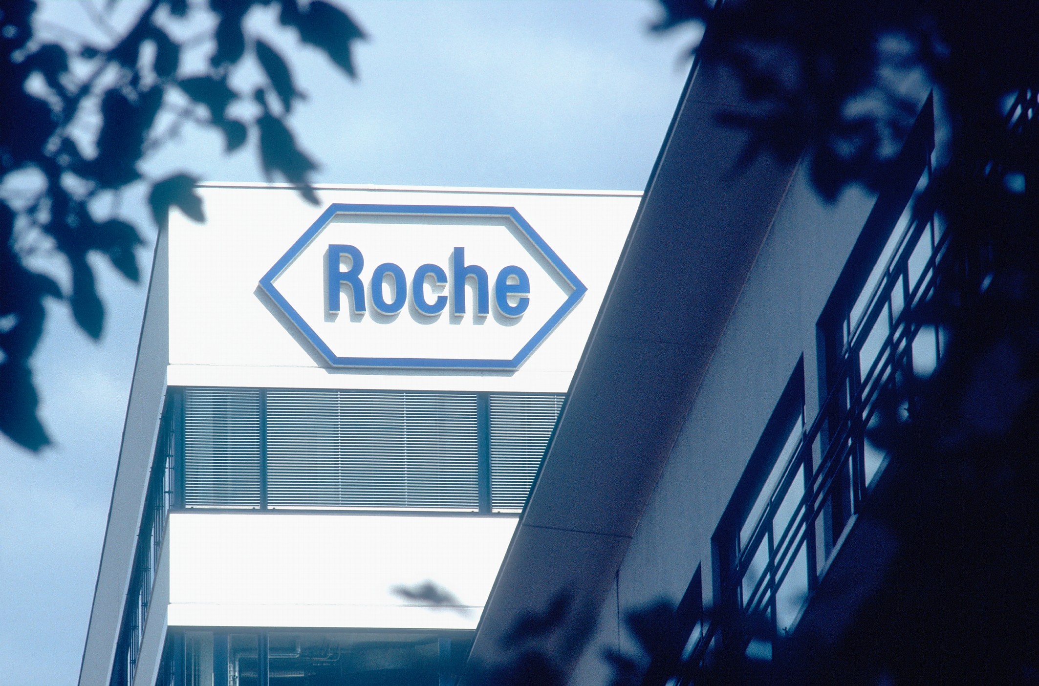 Roche, a large global pharmaceutical company