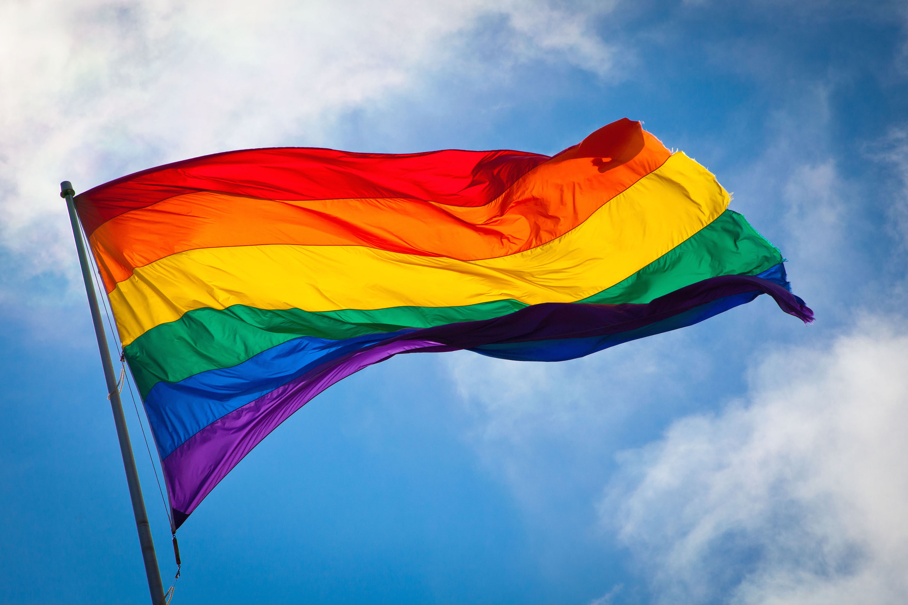 Rainbow_flag_breeze