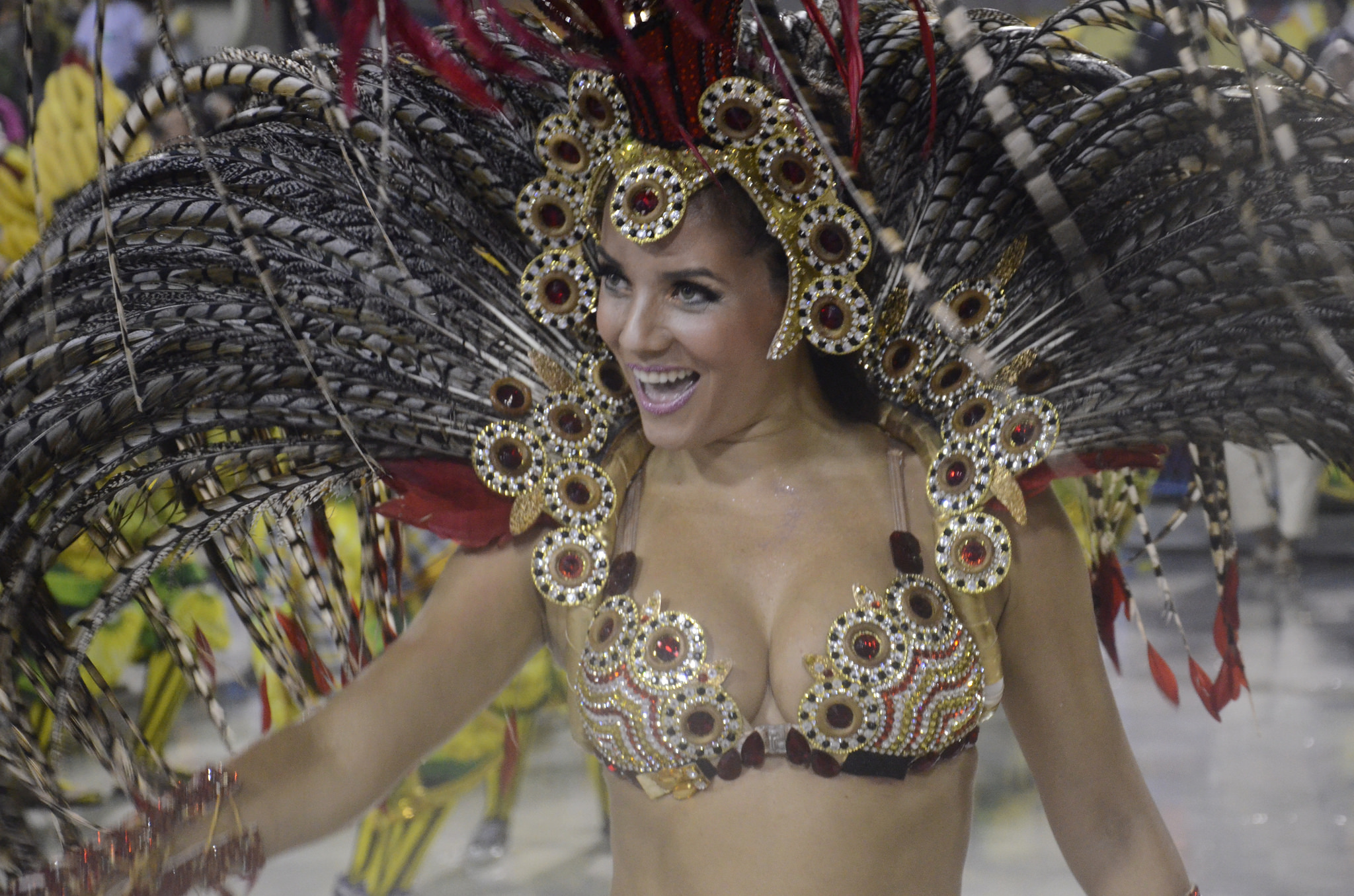 Grande Rio Will Wrap First Day of 2015 Carnival Parades