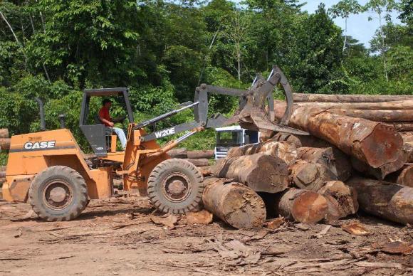 Deforestation in the Brazilian Amazon drops 34% in February, reports SECOM