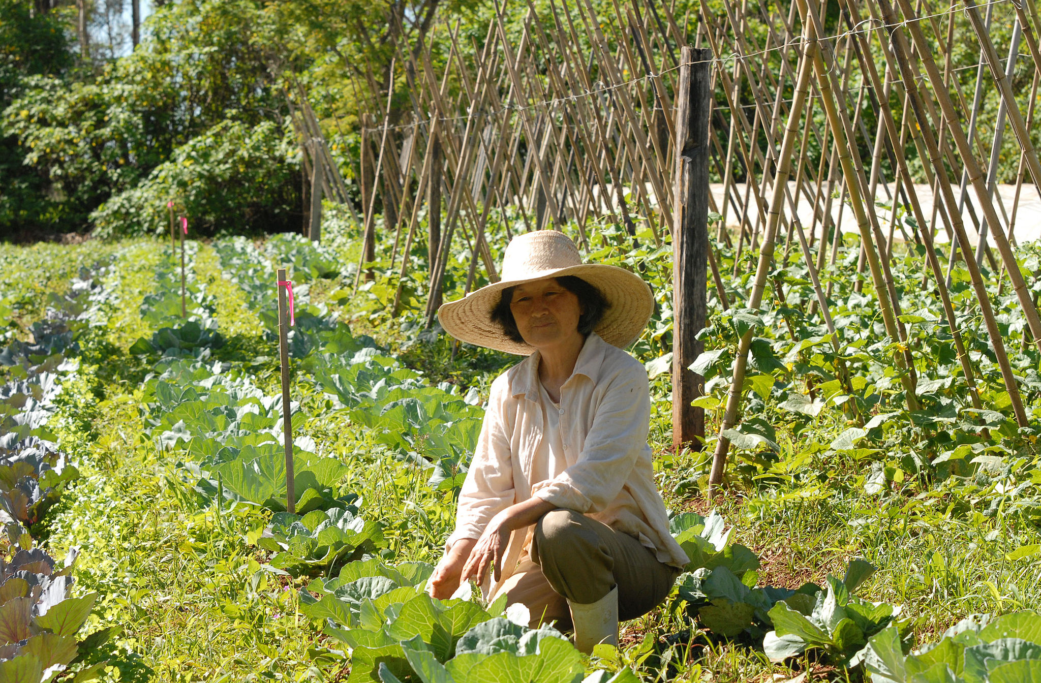 family farming Antonio Cruz Agencia Brasil