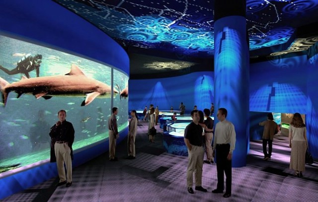 Brazil News, Brazil, Rio de Janeiro, Aquarium, Aqua Rio, Fish, Diving