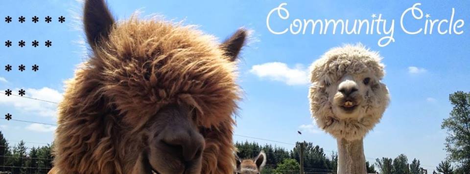 RioNightLive