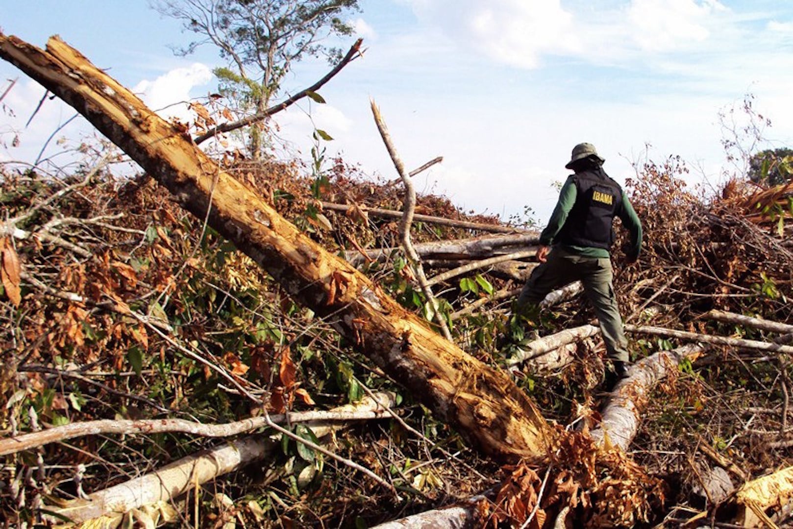 Brazil's government increased monitoring of deforestation of Amazon region
