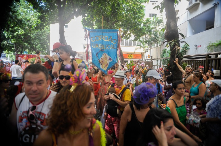 Brazil, Rio de Janeiro, CarnivalThe Cordão Umbilical bloco brought dozens of families out to the streets of Humaita