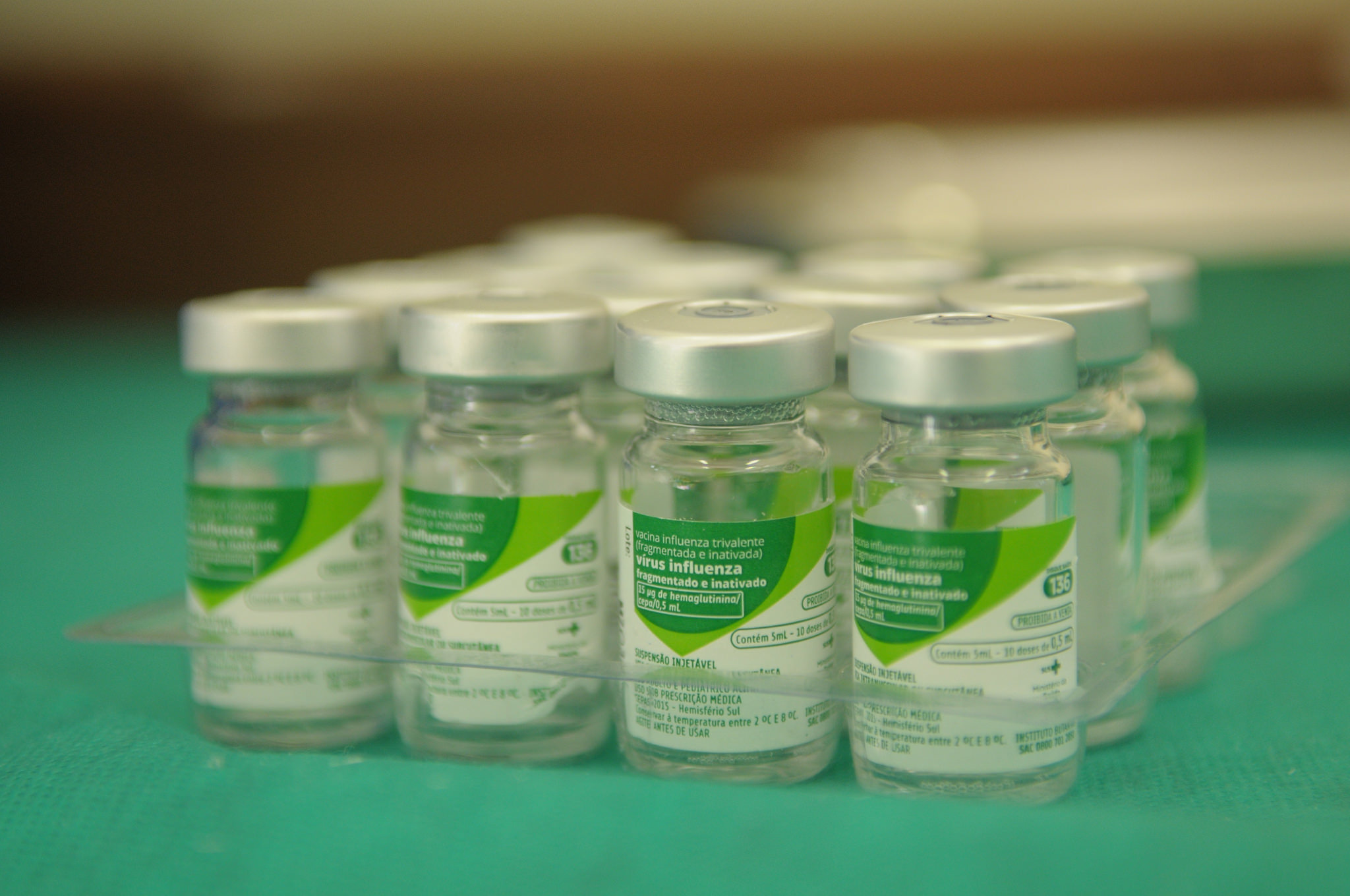 Brazil, Brasilia, H1N1, swine flu