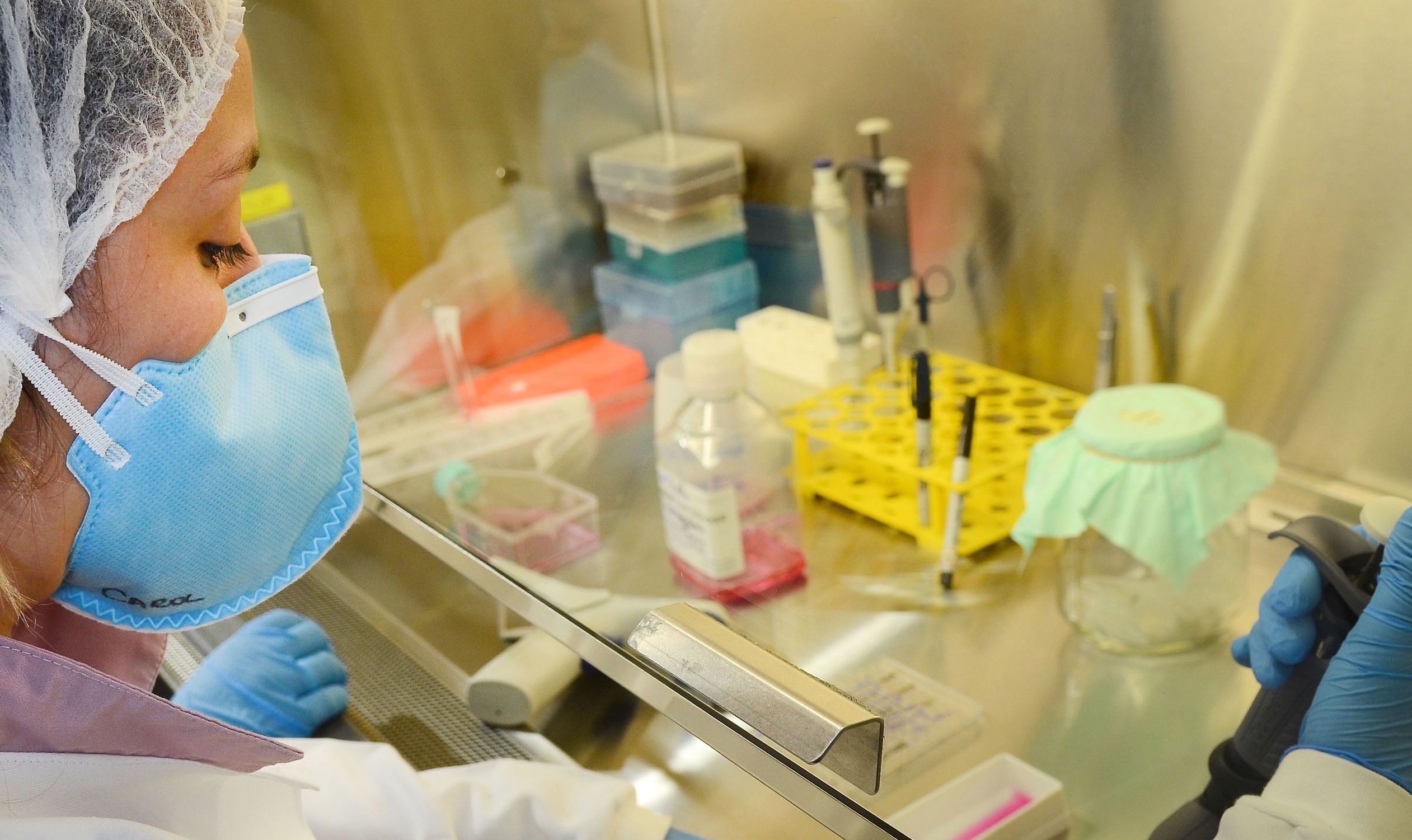 Zika research, Rio de Janeiro, Brazil , Brazil News