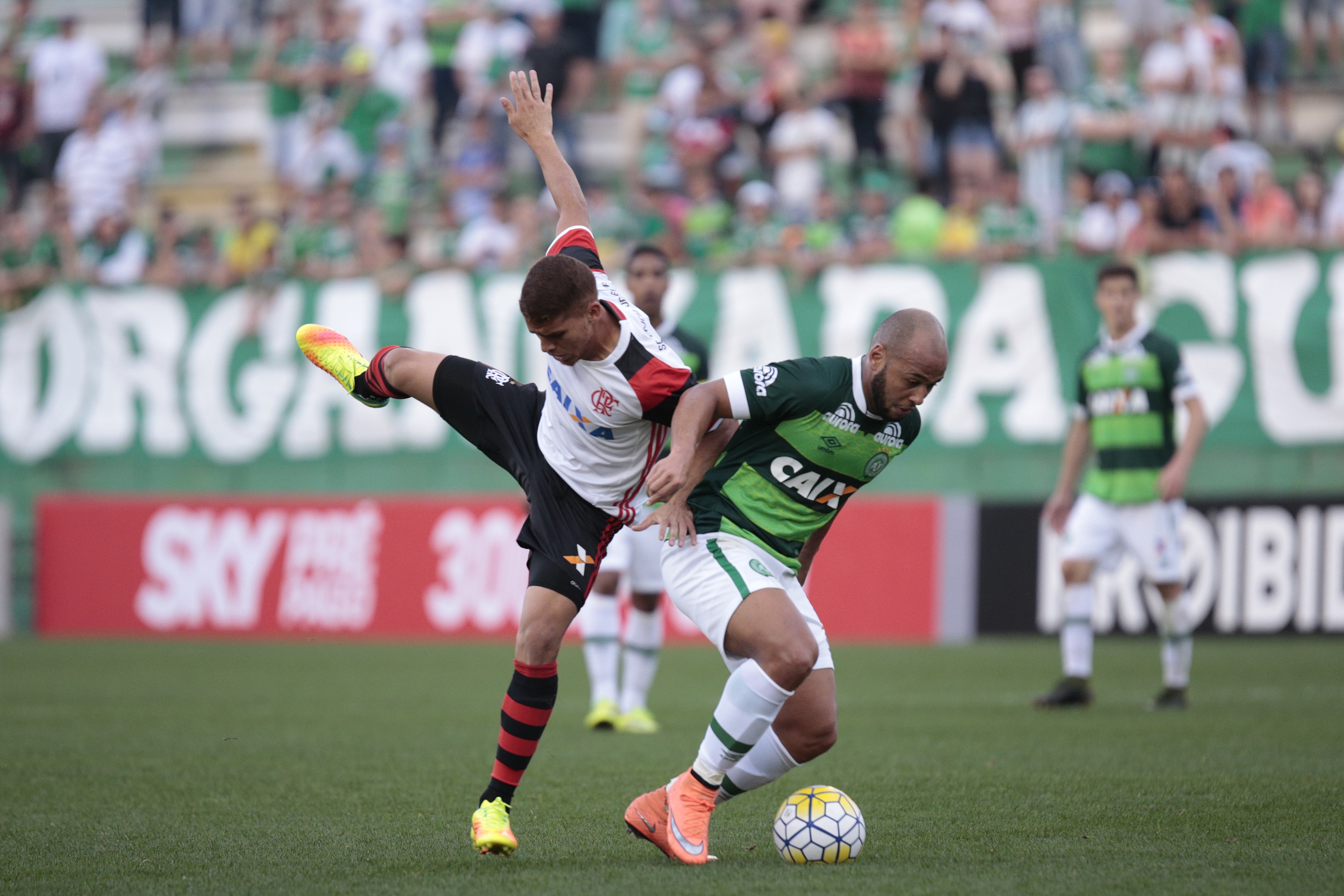 Brazil, Brazil News, Rio de Janeiro