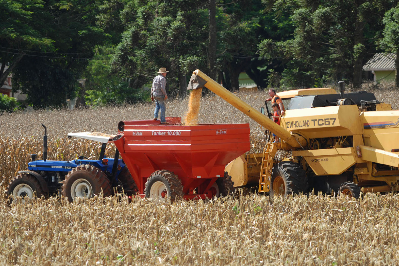 Brazil, Parana, Brasilia,Corn production in Brazil is expected to grow up to ten percent in 2017