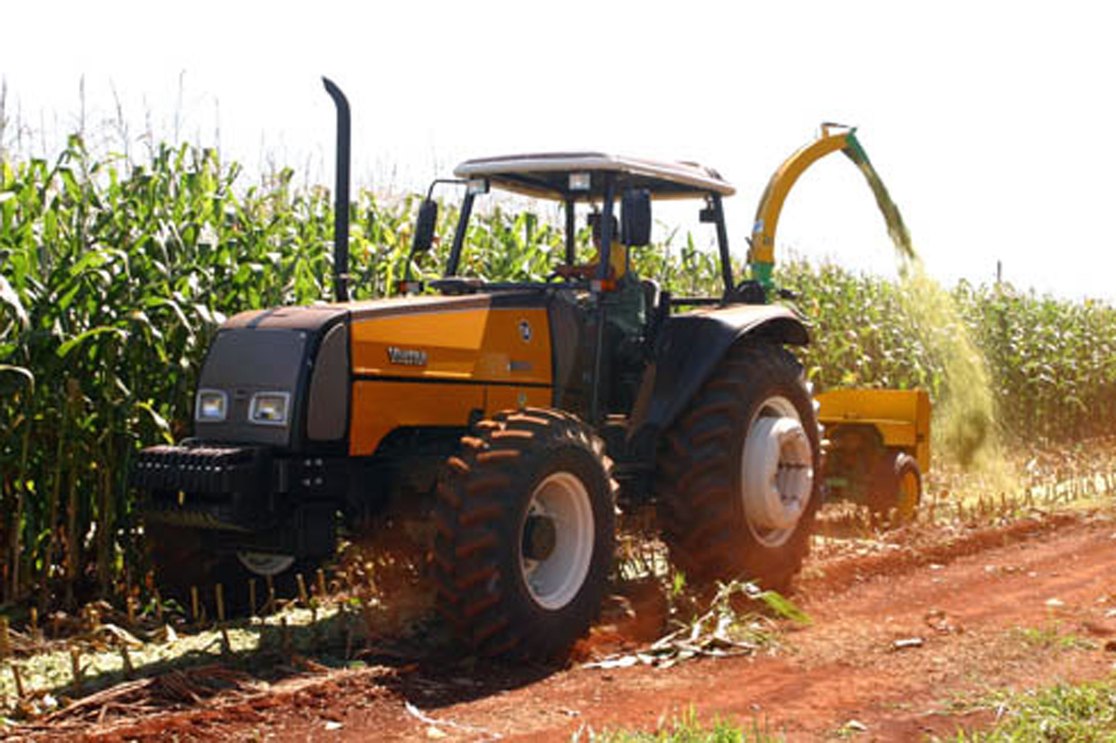 Brazil,After a year of production declines, Brazil's grain harvests may surge in volume in 2017,