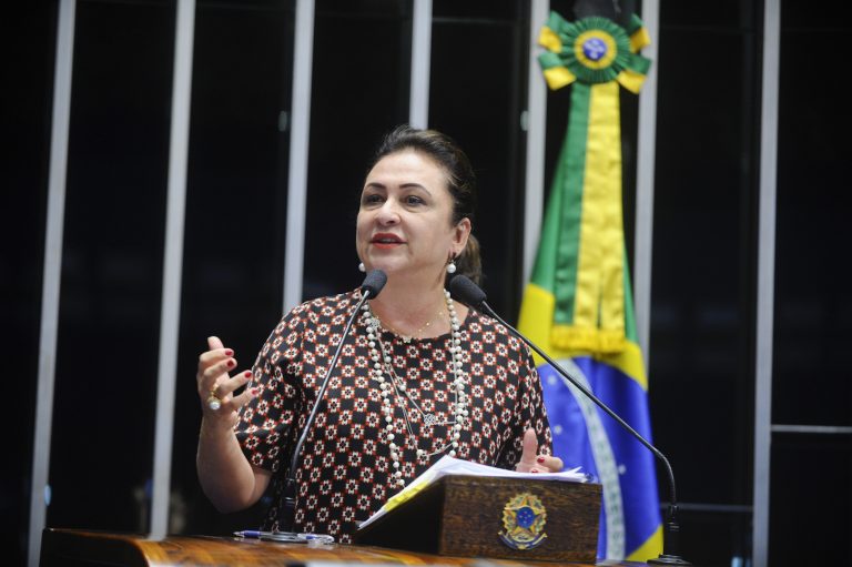 Brazil, Brasilia,Senator Katia Abreu speaks in Senate plenary about end of super salary projects,