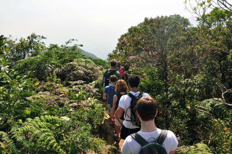 Twenty Hikers Robbed in Rio de Janeiro’s Tijuca Forest
