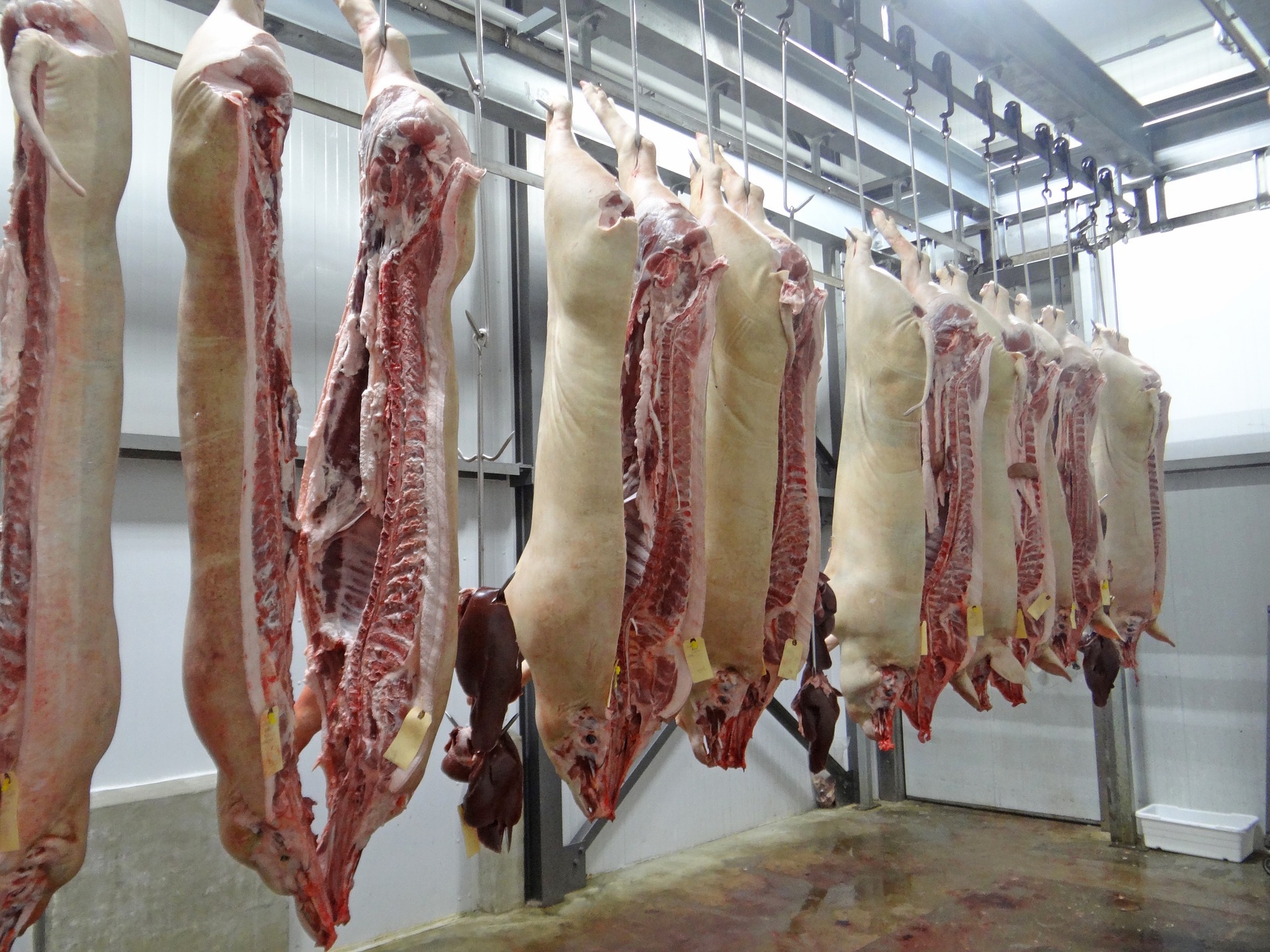 Brazil, Five slaughterhouses were unauthorized to export their products to Saudi Arabia on Tuesday.