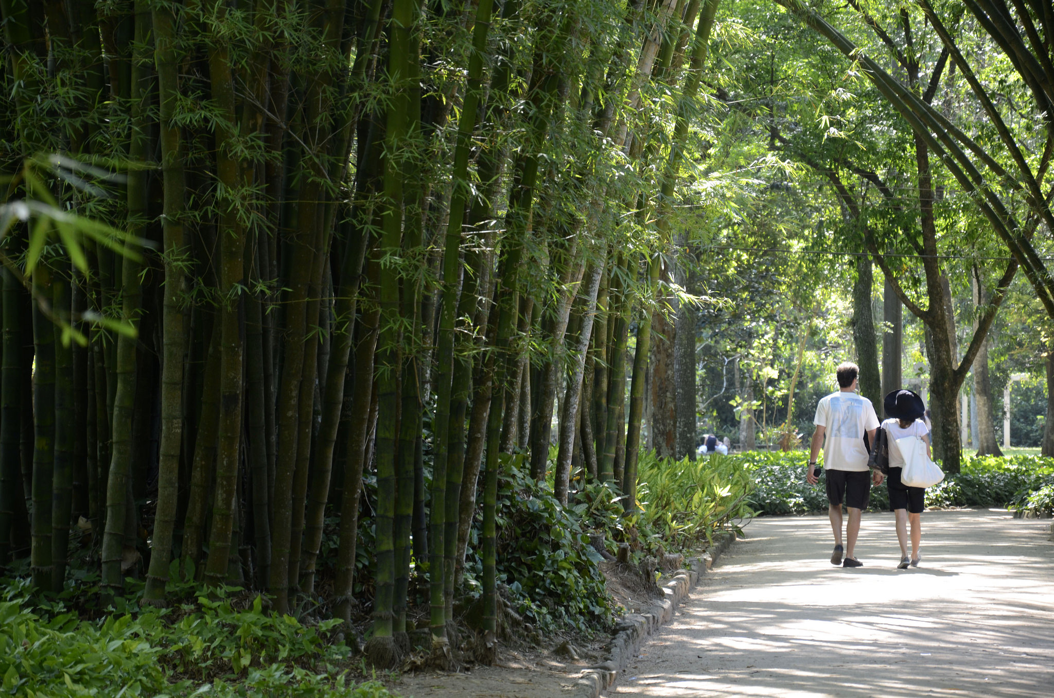 Jardim Botânico will host a range of free activities this week, photo by Alexandre Macieira/Riotur. Brazil, Brazil News, Rio de Janeiro, Jardim Botanico, Botanical Gardens, National Botanic Day, Dia do Indío, Indigenous People's Day, free activities, outdoor activities, indigenous culture,