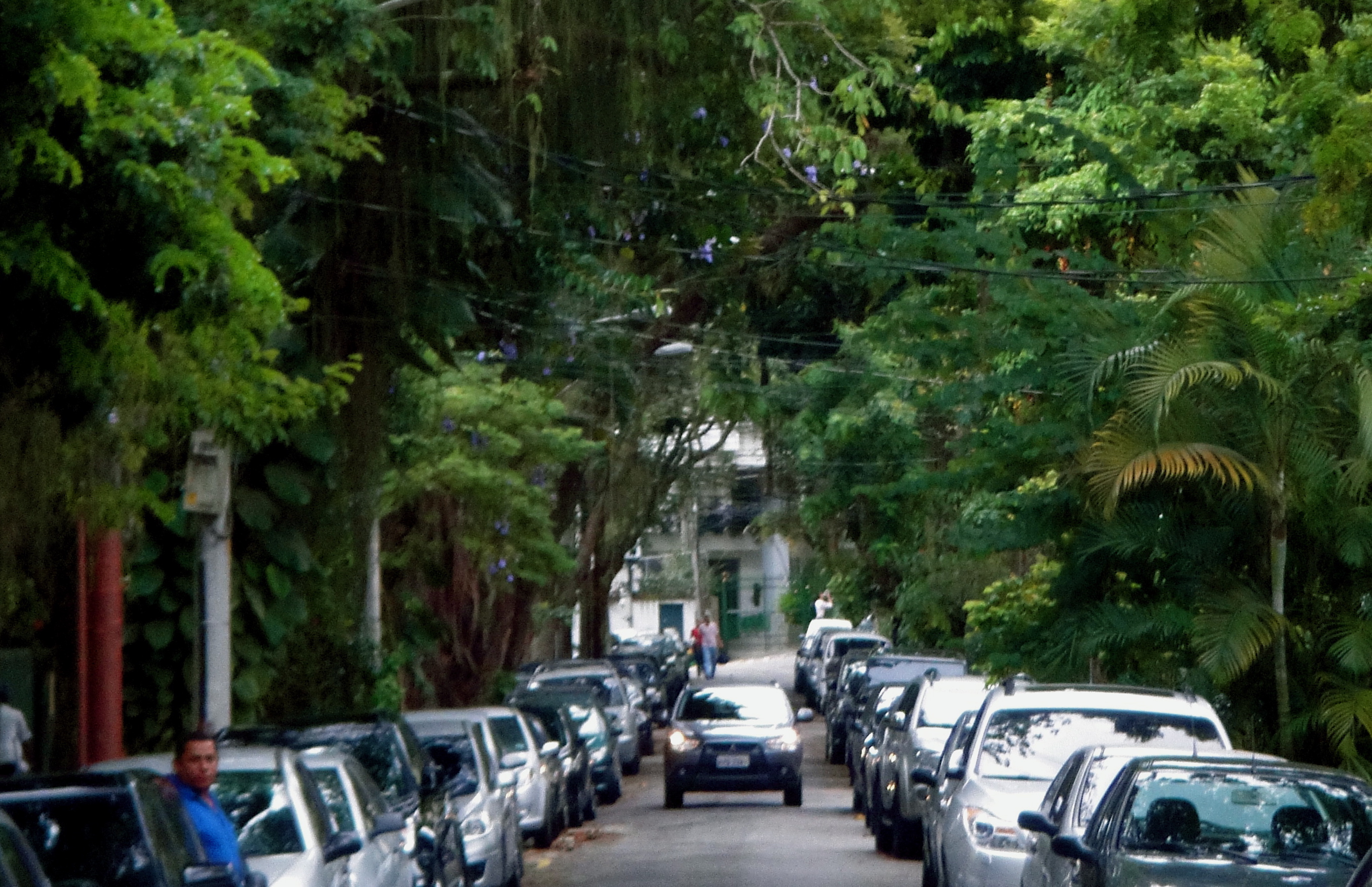 Gavea