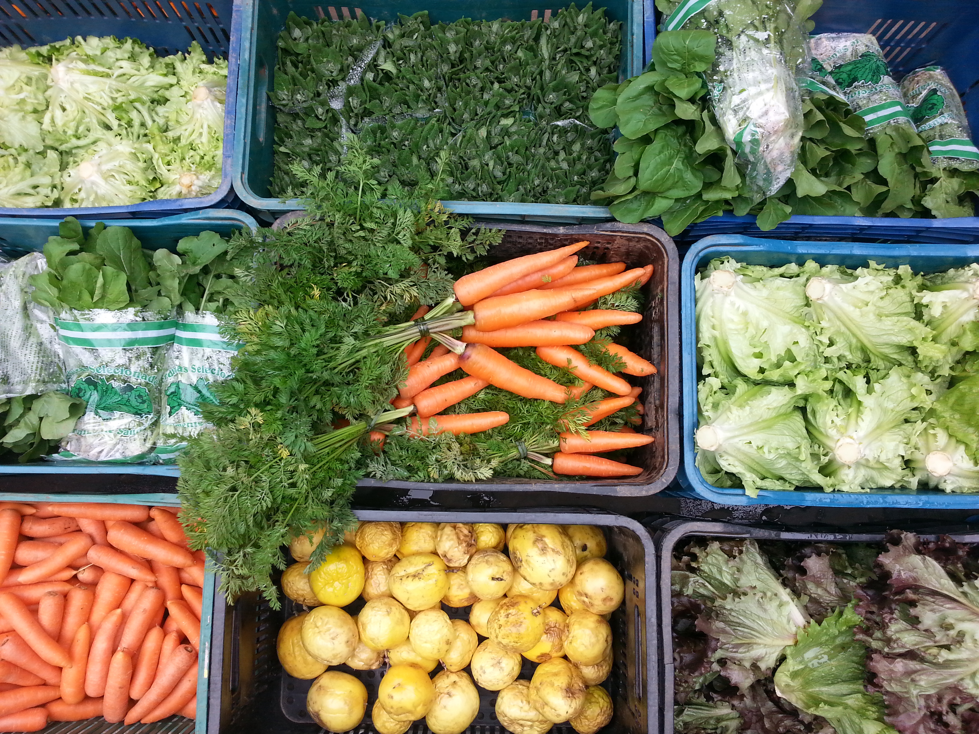 organic-food