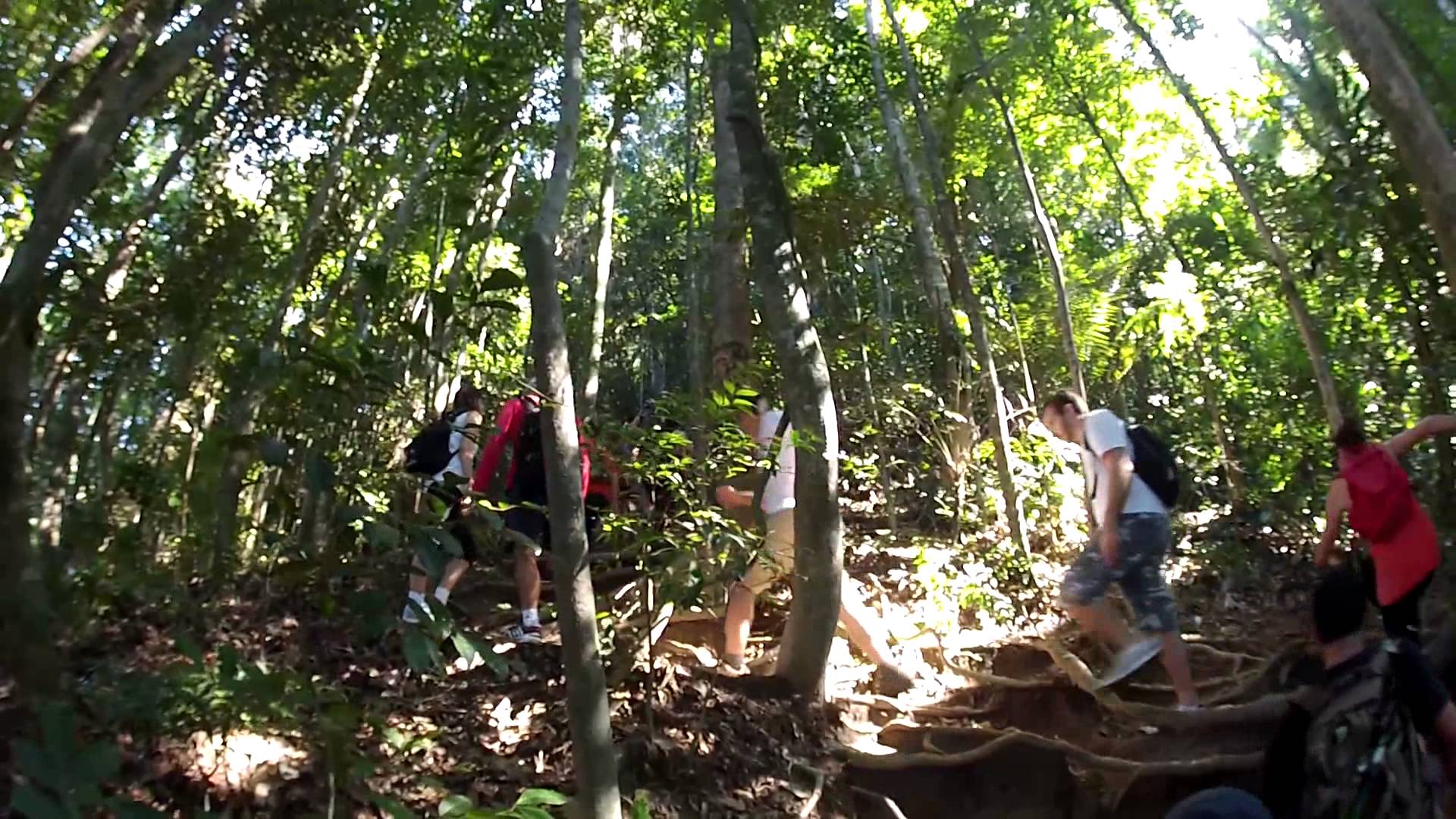 trilha-corcovado-2