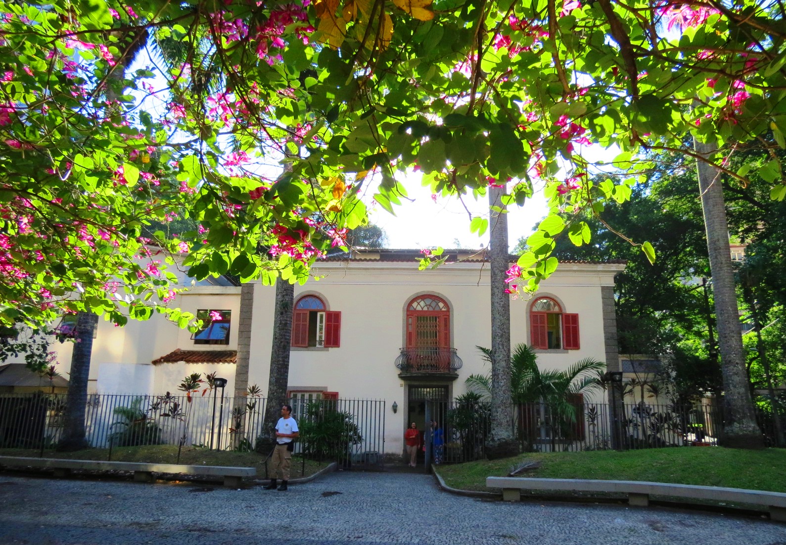 biblioteca machado de assis.JPG