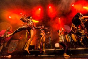 Rio News, Brazil News, Rio de Janeiro, Brazil, Carnival 2018, Amigos da Onça, Carnival bloco