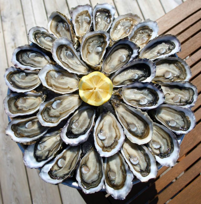 Canastra on Tuesdays offers a festival of fresh oysters