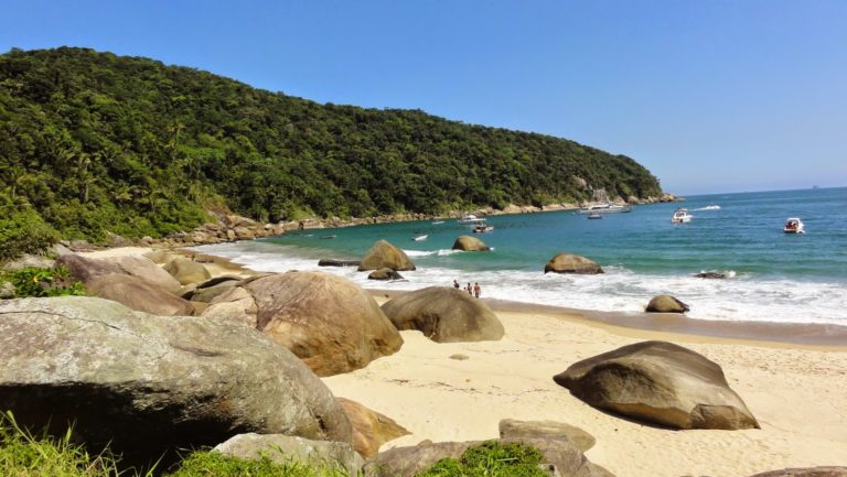 The Best Beaches from São Paulo’s South Coast