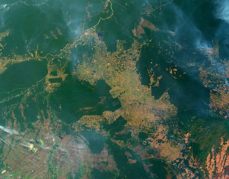 Brazil-China Satellite to Track Deforestation Slated for 2019