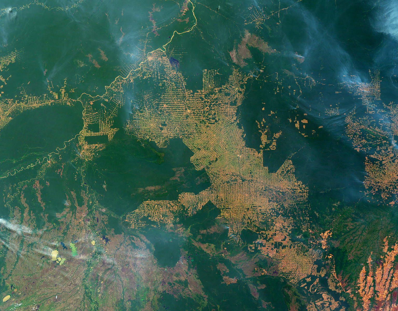 Amazon-Deforestation