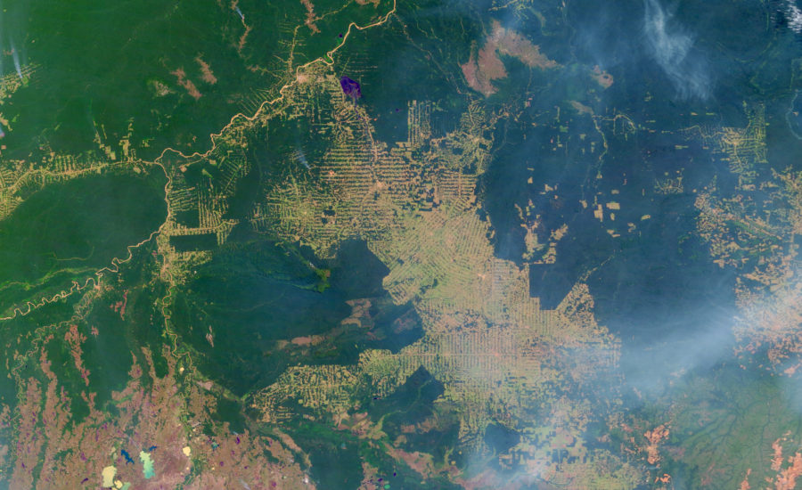 Deforestation in Brazil’s Amazon Region Increases by 13.7 Percent